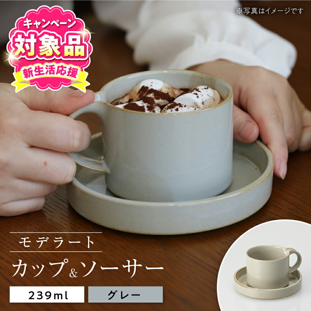 【ふるさと納税】【キャンペーン対象】【瀬戸焼】モデラート カップソーサー グレー 【セラミック・ジャパン】 / 食器 カップ コップ ギフト プレゼント / 瀬戸市[BBBC007]