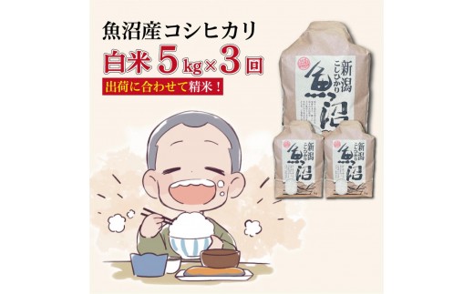 
                  【３か月定期便】令和８年産新米　魚沼産コシヒカリ 精米５kg×３回　計15kg
                