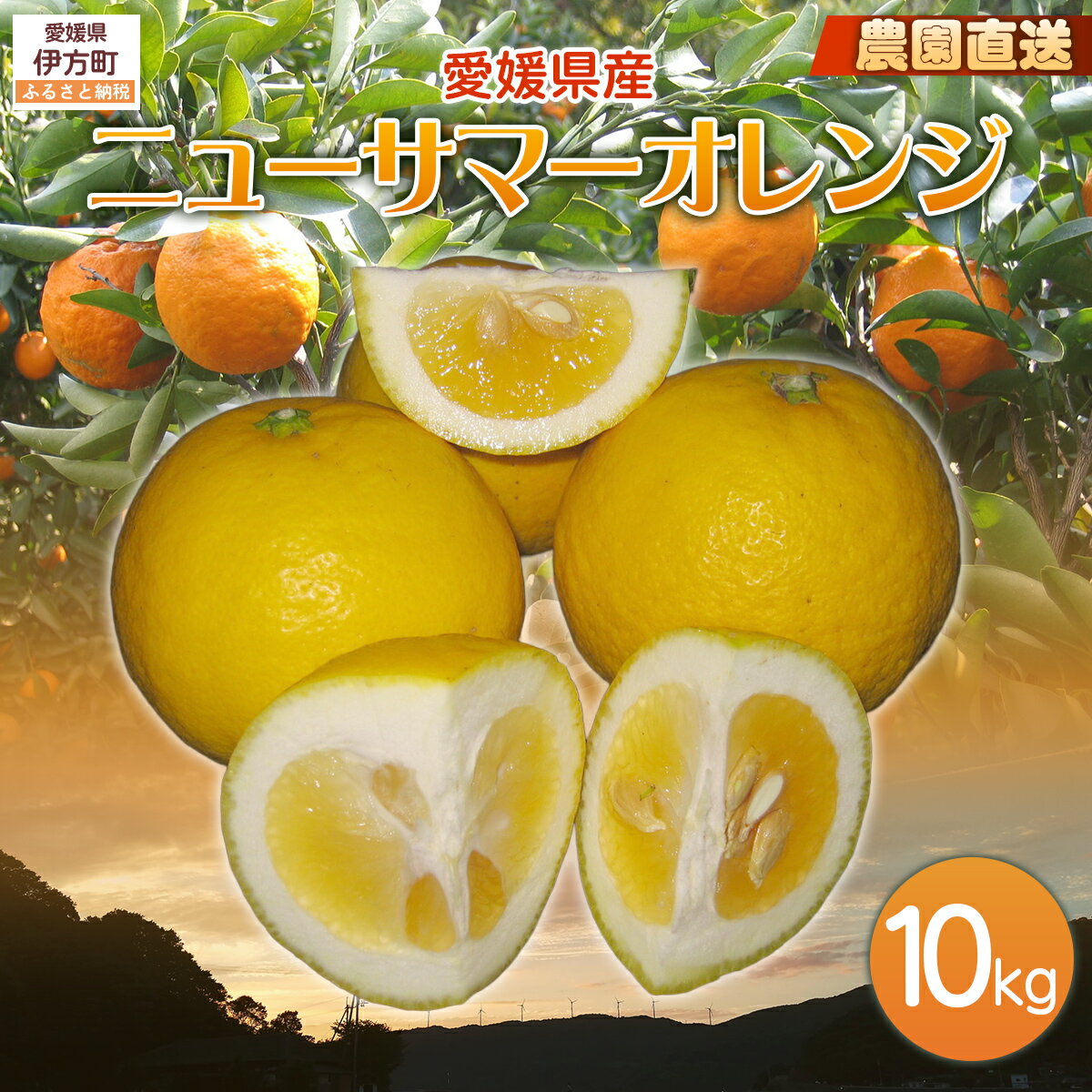 【ふるさと納税】【栽培期間中農薬不使用】【先行受付】【数量限定】農園直送！愛媛県産ニューサマーオレンジ 10kg （2026年3月下旬頃より順次発送） 【ふるさと納税 人気 おすすめ ニューサマ―オレンジ オレンジ フルーツ ギフト 愛媛県 伊方町 送料無料】 IKTG010