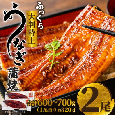 【ふるさと納税】大野城市限定!ふっくら大判特上うなぎ蒲焼　計約600～700g(約320g×2尾)【配送不可地域：離島】【1646340】