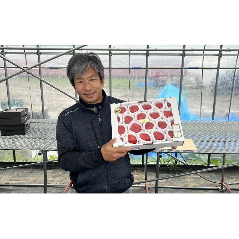 いちご 朝倉市産 あまおう L～3L 20玉 イチゴ 苺 果物 デザート ＜Shibayama Farm＞ ※配送不可：離島 _イメージ5