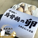 【ふるさと納税】（10個入り）湘南で育った平飼い、烏骨鶏の卵。大磯まるしん農園【 たまご 神奈川県 大磯町 】