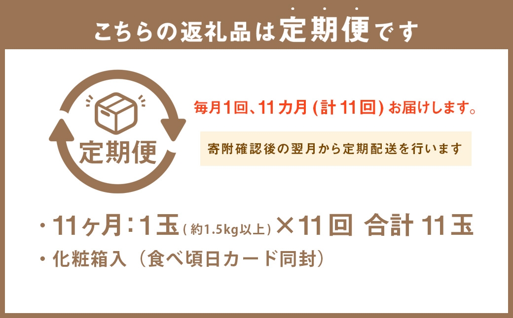 【11ヶ月定期便】静岡県産高級 アローマメロン 白等級 大玉1玉