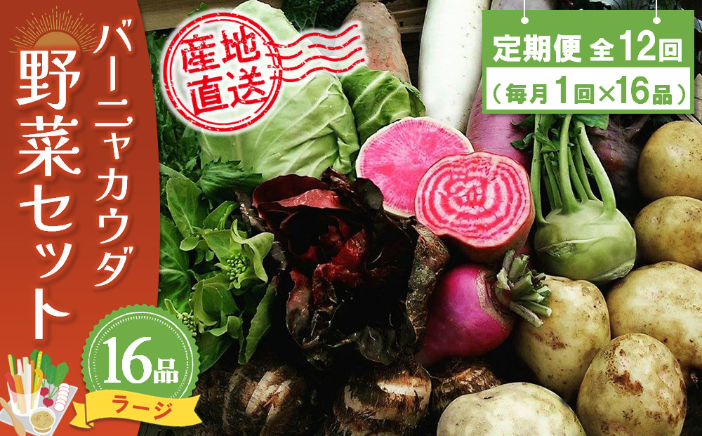 
年間定期便12回 バーニャカウダ野菜セットラージ 16品 【有機野菜 おまかせ野菜セット イタリア野菜 西洋野菜 定期便】(H078122)
