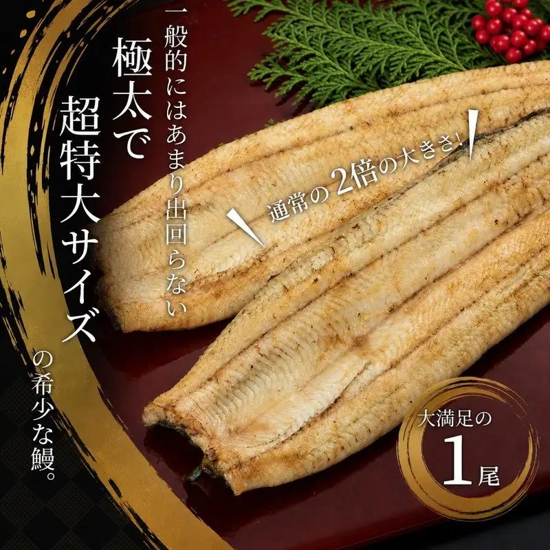 うなぎ 訳アリ 浜名湖 白焼 1本 250g ビッグサイズ 浜松 うなぎ