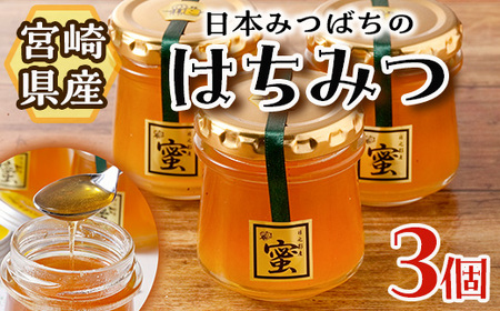 日本みつばちのはちみつ(90ml×3個)【BO001】【みつばちBoon.】