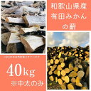 【ふるさと納税】薪 キャンプ用 有田みかんの薪40kg(中太のみ) | アウトドアグッズ 人気 おすすめ 送料無料