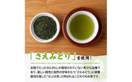 宮崎県産茶　深蒸煎茶（赤）100ｇ10袋セット 【 九州産 宮崎県産 川南町産 茶 お茶 国産茶 飲料 日本茶 飲みやすい 使いやすい 】