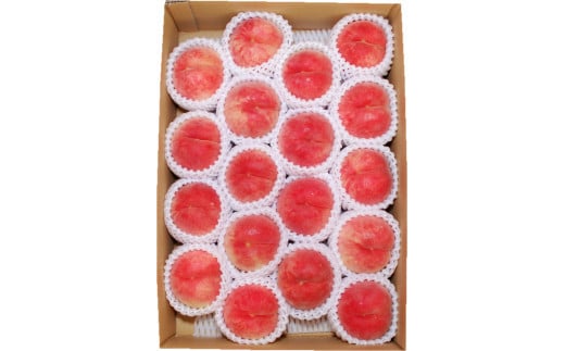 08-02-018　もも(8月旬の白桃)5kg