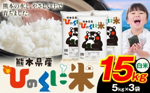 白米 ひのくに米 15kg 《7-14日以内に出荷予定(土日祝除く)》 食品 米 こめ コメ 熊本県産 ふるさと納税 お米 おこめ 熊本