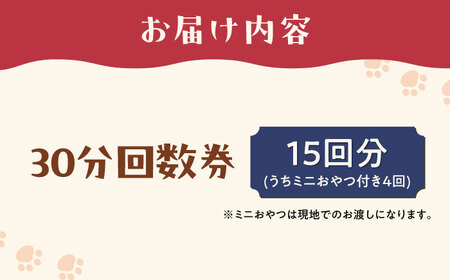 Cherish猫カフェ 回数券（15回分） 猫 ねこ ネコ 保護猫 支援 動物愛護 応援 大阪府高槻市／特定非営利活動Cherish[AODU003]