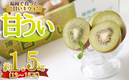 福岡限定!ブランドキウイ「甘うぃ(あまうぃ)」約1.5kg箱(12-15玉) 3V20