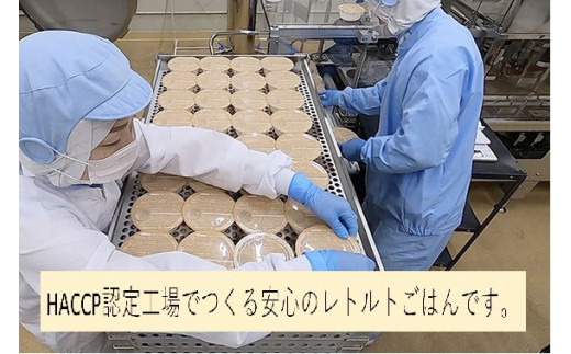 【新米受付・令和8年産米】【定期便：12ヶ月お届け】簡単便利！ 新潟県村上市 新之助 パックご飯 150g×10個入り×12月 1039045N 毎月 お米 米 パックごはん レトルト 備蓄 時短