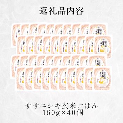 ふるさと納税 石巻市 ご飯 パック 玄米 ササニシキごはん 160g × 40個 宮城県産 レトルト 長期保存 お米 |  | 02