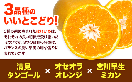 みかん はれひめ 約5kg 　みかん