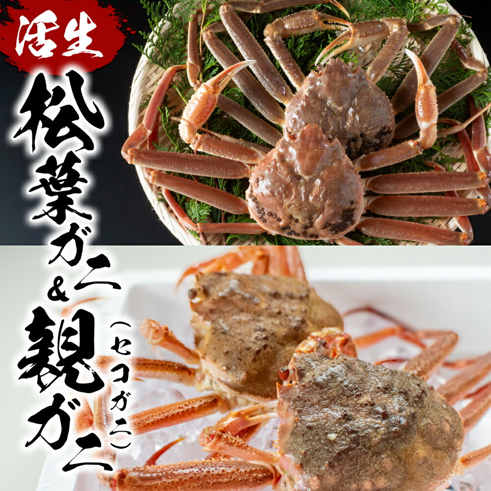 【ふるさと納税】訳あり松葉がに 親がに 夫婦セット（生）鳥取県網代産｜鳥取県 岩美町 蟹 かに カニ 松葉ガニ 親ガニ ズワイガニ 訳あり 訳アリ 新鮮 魚介 食べ比べ 詰め合わせ セット 冷蔵【22013】