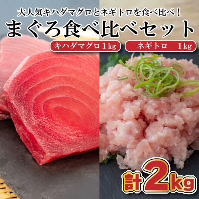ふるさと納税 須崎市 キハダマグロ・ネギトロセット【各1kg】