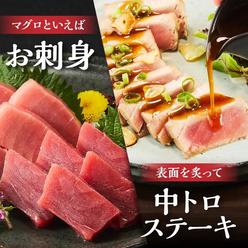 国産本まぐろ 中トロ 赤身 600g [ まぐろ ] / 2-134