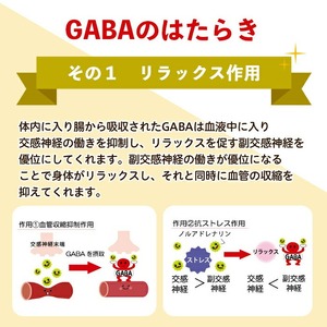 No.1294 ＜機能性表示食品＞GABA100(1袋 62粒入り)  鹿児島 日置市 健康食品 サプリ 栄養バランス 食生活 安心安全 デスクワーク ストレス緩和 高血圧 定期便 頒布会 サプリメン