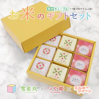 ふるさと納税 鶴岡市 真空キューブ米 詰め合わせ 300g(2合)×9個 山形県産 つや姫/雪若丸/ミルキークイーン