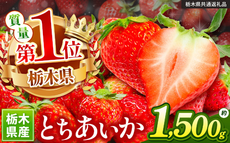 厳選 とちあいか【先行予約】 【栃木県共通返礼品】 | 栃木県 下野市