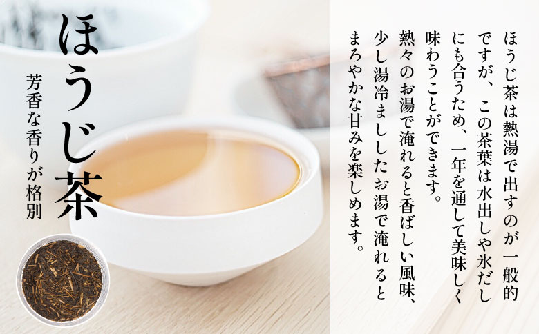 【定期便6回】 ティーバッグ3種セット 煎茶 ほうじ茶 和紅茶 大容量 東白川村産 岐阜県産 焙じ茶 ティーバッグ ティー 茶葉 お茶 日本茶 紅茶 ホット アイス 水出し まとめ買い 茶淹 美濃加茂