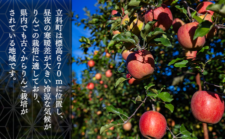 サンふじ・ぐんま名月ミックス(約5㎏、優13~18玉)