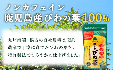 【定期便 全12回】≪12ヶ月連続で毎月お届け≫ 鹿児島県産 ねじめびわ茶 ティーバック ≪1回あたり(24包入×1袋) ≫  ノンカフェイン  TO-3-NP| 国産 お茶 健康茶 びわ茶 ポリフェ