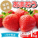 【ふるさと納税】＜容量を選べる・先行予約受付中！2025年1月中に発送予定＞福岡県産 あまおう(計約500g or 1kg)いちご 苺 フルーツ 果物 くだもの 冷蔵 ＜離島配送不可＞【ksg1489・ksg1490】【くまふる春日】