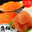 【ふるさと納税】プレミアム魚卵セット いくら500g たらこ400g いくら イクラ 鮭 さけ サケ 秋鮭 たらこ タラコ 鱈子 卵 魚卵 海鮮 ご飯のお供 海鮮丼 魚貝類 わたなべ 鮨 寿司 ふるさと納税 北海道 中標津町 中標津【21003】