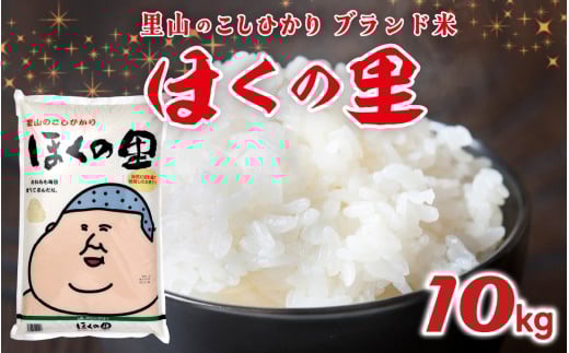 【先行予約】里山のこしひかり ほくの里 10kg × 1袋【1月配送】 | 