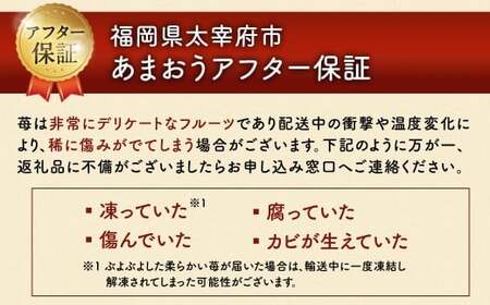 【3回定期便】 うるう農園のあまおう サイズ色々6パック （計約1710g） 【2027年2月上旬～4月下旬発送予定】 あまおう いちご 苺 果物 フルーツ 定期便 冷蔵 福岡県 太宰府
