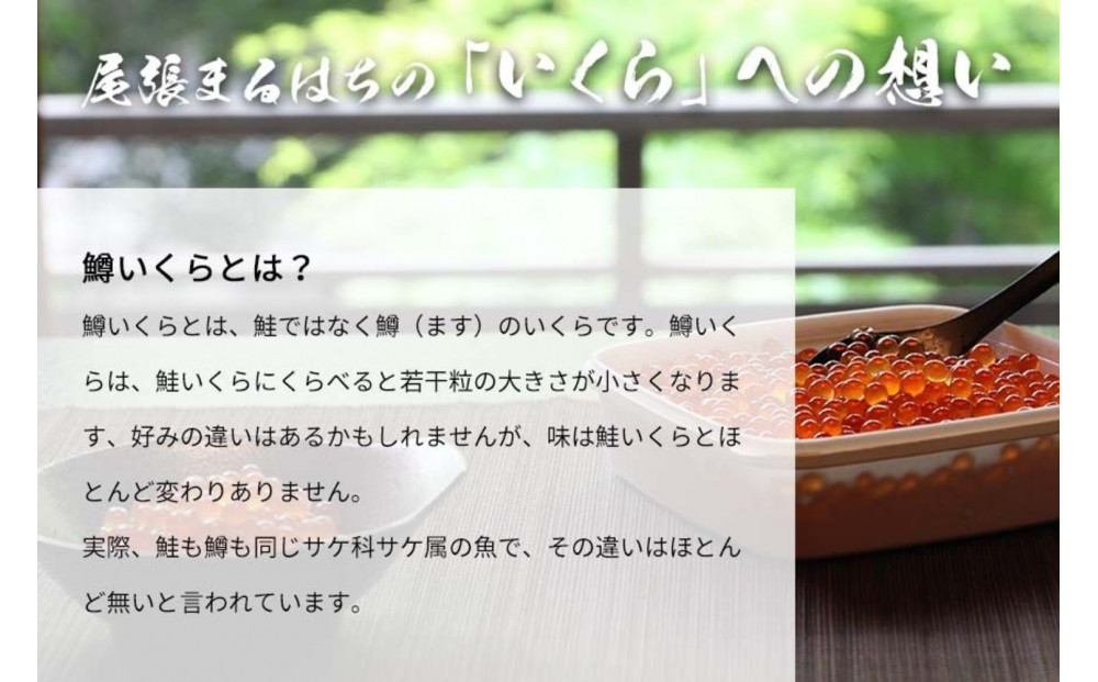いくら 醤油漬け 300g  鱒の卵 化粧箱入り 尾張まるはち
