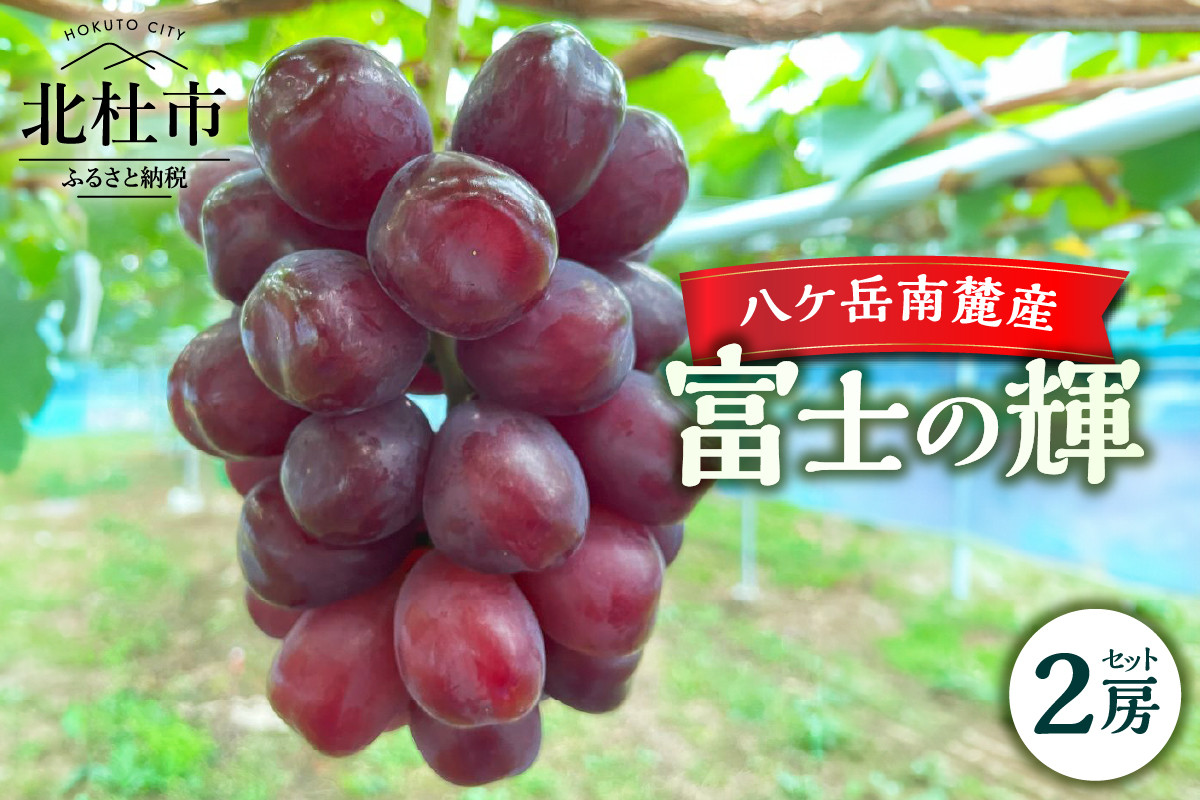 
            【2025年先行予約】八ケ岳南麓産「富士の輝」  ブラックシャインマスカット 2025年 先行予約 2房 セット 期間限定 数量限定 富士の輝 新品種 葡萄 ぶどう ブドウ フルーツ 果物 大粒 濃厚 コク 甘い 希少種 シャインマスカット 山梨県 北杜市 八ヶ岳南麓
          