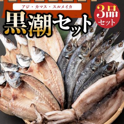 ふるさと納税 室戸市 黒潮セット(室戸海洋深層水仕込)　アジ干物　カマス干物　スルメイカ　干物詰め合わせセット