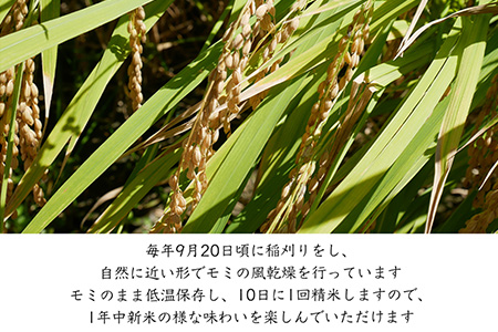 特別栽培棚田米「蕨野」5kg×3袋(合計15kg) 家庭排水が一切入らない自然水で作られたお米 10日に1回精米で新米のような味わい