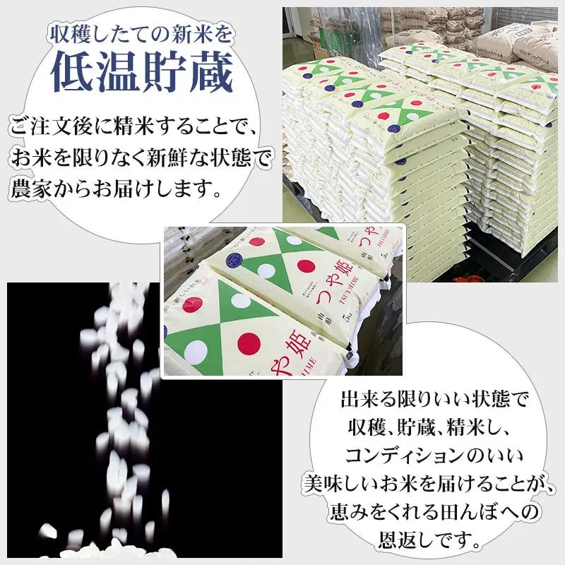特別栽培米 つや姫 無洗米 10kg (5kg×2袋) 山形県鶴岡市産 株式会社サンエイファーム 【令和8年産早期予約特別企画】工藤さんの特別栽培米