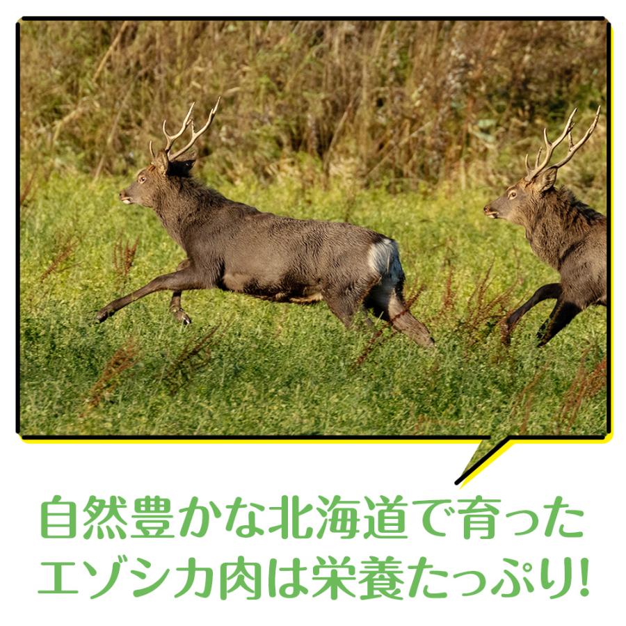 ふるさと納税 浜頓別町 犬 おやつ 無添加 国産  エゾ鹿 アキレス 腱 (50g) 犬用 |  | 01