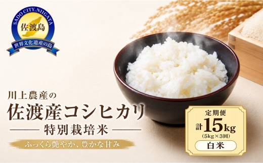 【3か月定期便 コシヒカリ】令和7年産 佐渡産コシヒカリ 合計15kg（5kg×全3回）川上農産 | 新潟県産コシヒカリ 新潟産コシヒカリ 新潟コシヒカリ 佐渡島産コシヒカリ 新潟県産こしひかり 佐渡産こしひかり お米 米 こしひかり 白米 精米 ブランド米 おこめ コメ 5キロ 定期便 にいがた さど 新潟県 佐渡市
