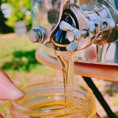 ふるさと納税 大牟田市 みつばちの雫　国産百花蜜　500g |  | 02