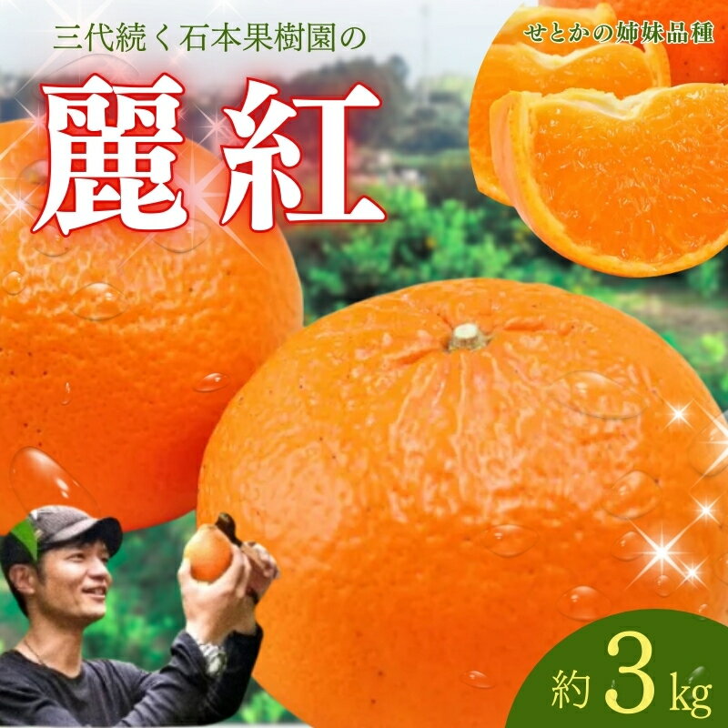 【ふるさと納税】 みかん 石本果樹園の美味しい 麗紅 （レイコウ） 約3kg 20から25玉前後【2026年2月中旬から3月中旬までに順次発送】 / ミカン 蜜柑 フルーツ くだもの 果物 先行予約 れいこう 産地直送 送料無料