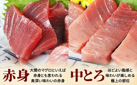 大間産本マグロ 赤身と中トロセット 各200g前後(合計400g前後)【配送不可地域：離島】