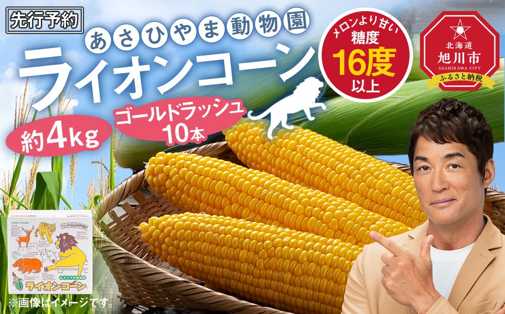 
            【先行予約】あさひやま動物園ライオンコーン約4kg(ゴールドラッシュ10本)2025年8月下旬～発送開始予定 【 とうもろこし 人気 北海道 糖度 野菜 スイートコーン 産地直送 ゴールドラッシュ コーン 旬 お取り寄せ 旭川市 北海道 】_00307
          