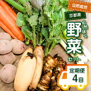 【ふるさと納税】《レビューキャンペーン》＜京都産野菜定期便4回＞自然体な野菜セット