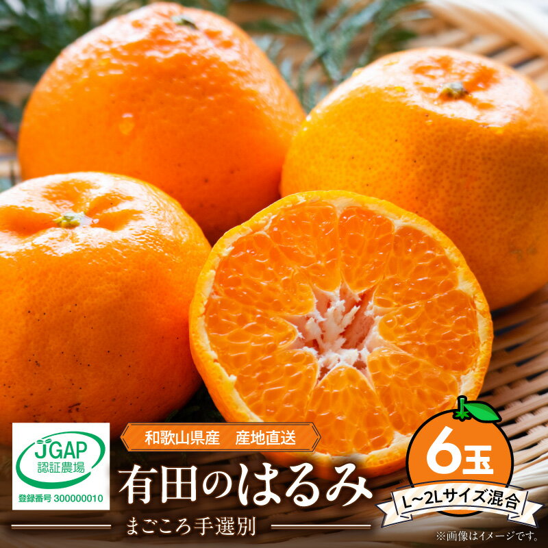 【ふるさと納税】【2027年先行予約】 和歌山県産 有田の はるみ 6玉 (L～2Lサイズ) まごころ手選別 みかん 柑橘 和歌山 有田 お取り寄せ 和歌山県 湯浅町 送料無料