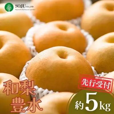 先行予約 豊水 約5kg 梨 新潟県 三条市 