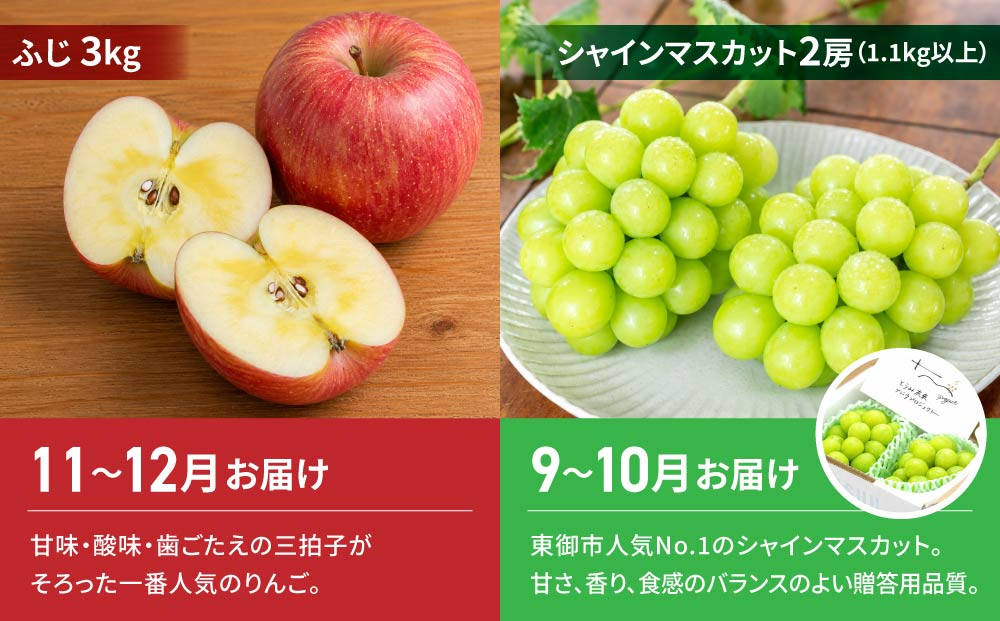 【2回定期便】人気のぶどう・りんご（シャインマスカット・ふじ）｜JA信州うえだ農業協同組合 長野県 東御市産