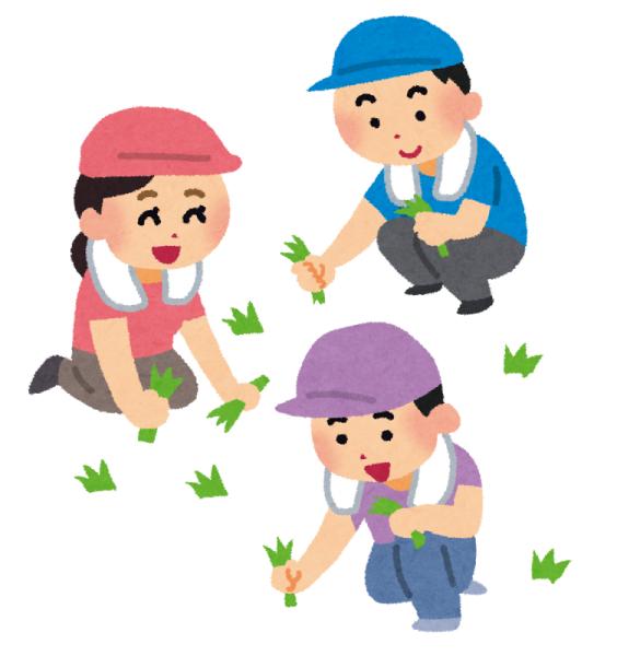
                  【熊野町親孝行便】草抜き(手作業) 8時間相当(2人×4時間)【親孝行 サービス 代行 草抜き 作業 熊野町 贈り物 ギフト プレゼント】34-30
                