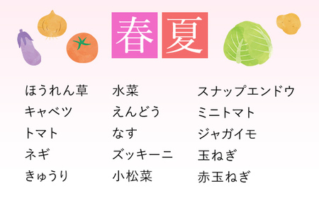 ＜12ヵ月定期便＞鮮度抜群「京野菜」 食べきりサイズ6～7品詰合せ(毎月×12回) ふるさと納税 福知山市 京野菜 野菜 新鮮 食べきり 詰合せ 定期便 12か月 【fc-CM005】【ふくこめoff