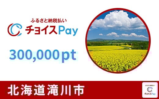 
            滝川市チョイスPay 300,000pt【会員限定のお礼の品】
          